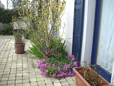 Jolie maison r�nov�e avec jardin clos