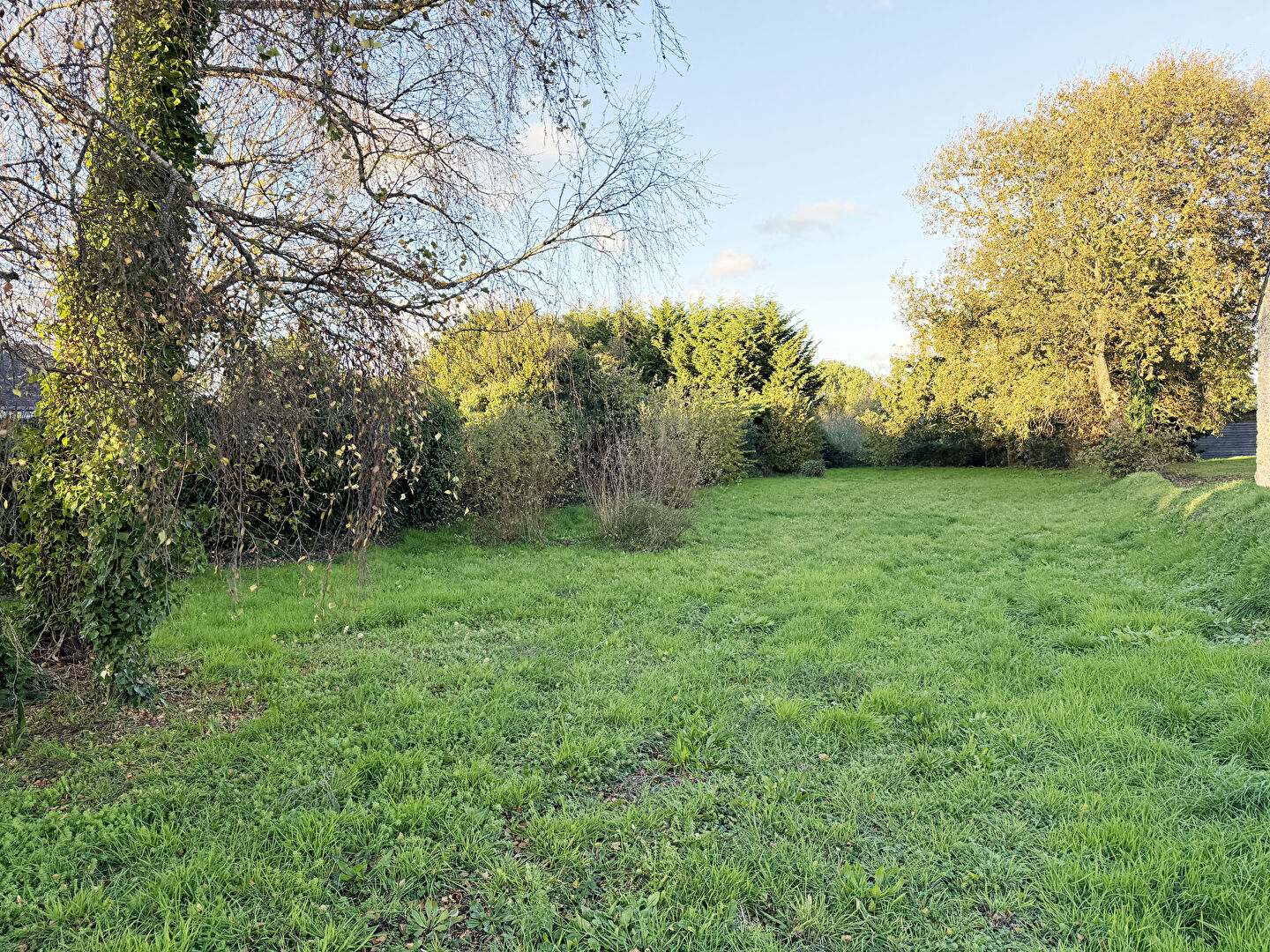 Terrain � b�tir de 786 m2