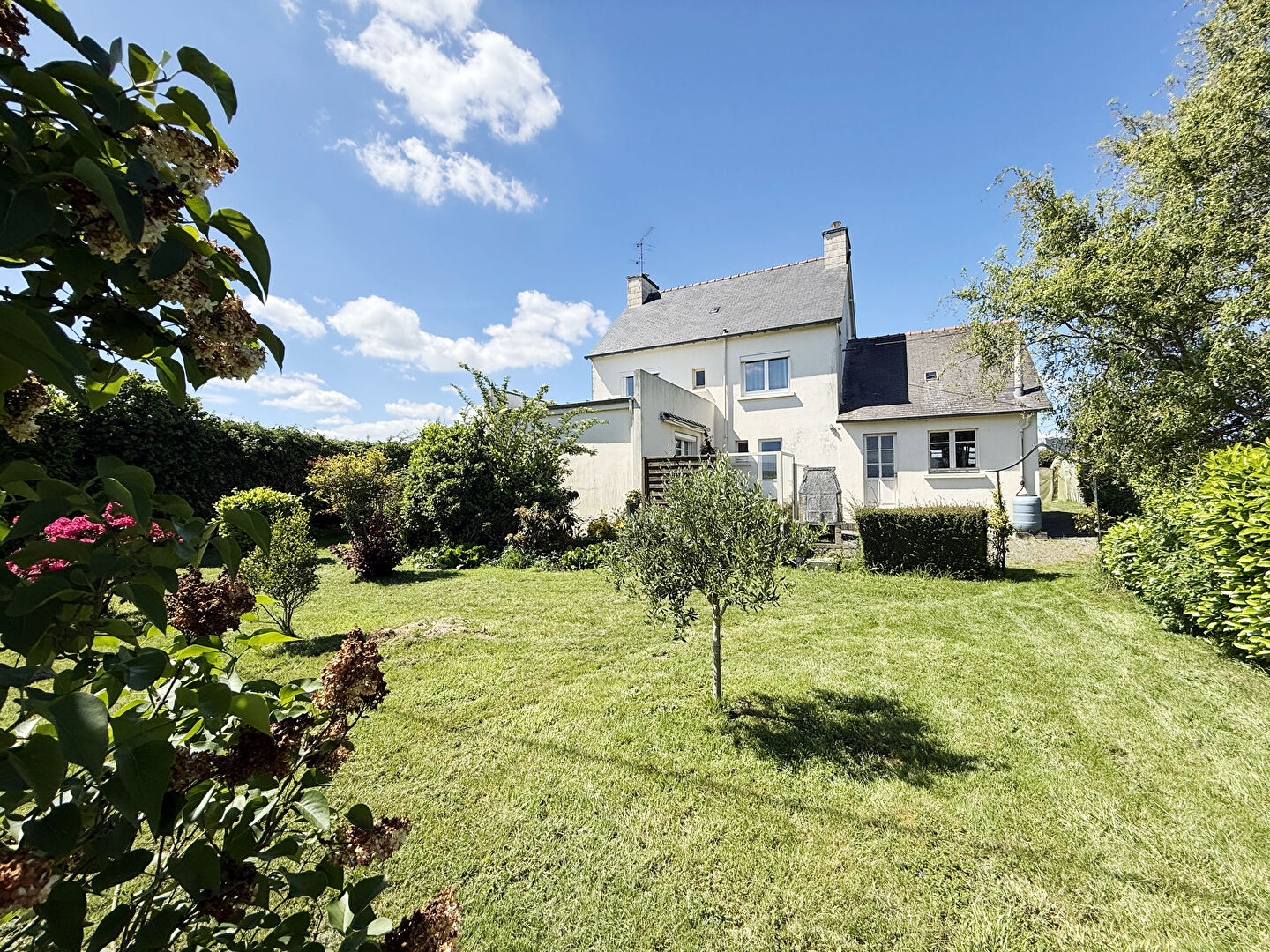 Maison de 1964, terrain 2520m2